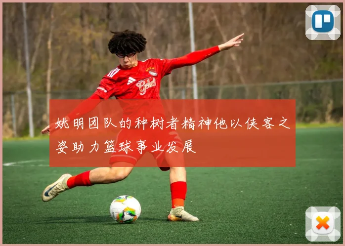 姚明团队的种树者精神他以侠客之姿助力篮球事业发展